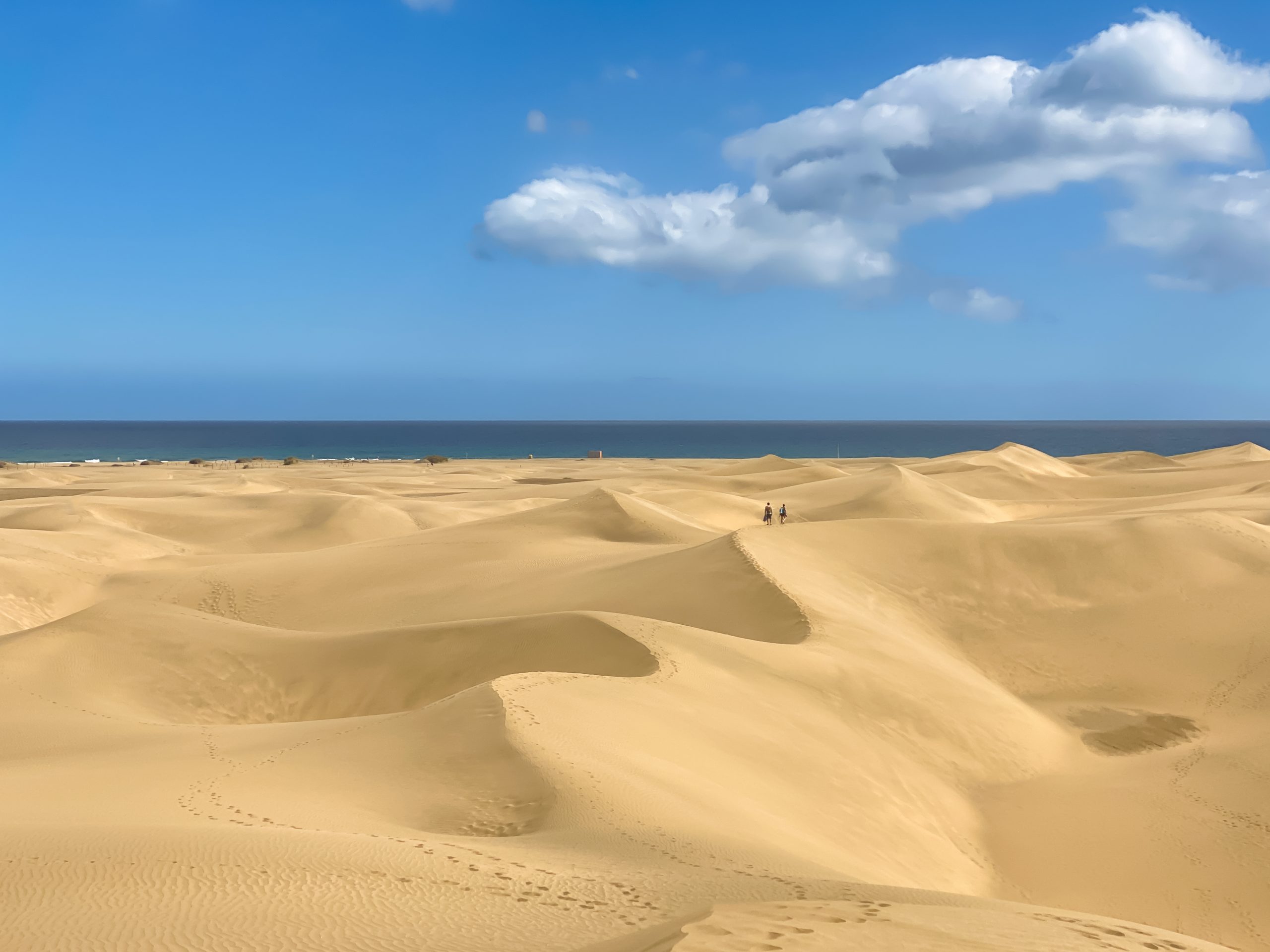 aerial view of the dunes and beach of maspalomas, canary islands