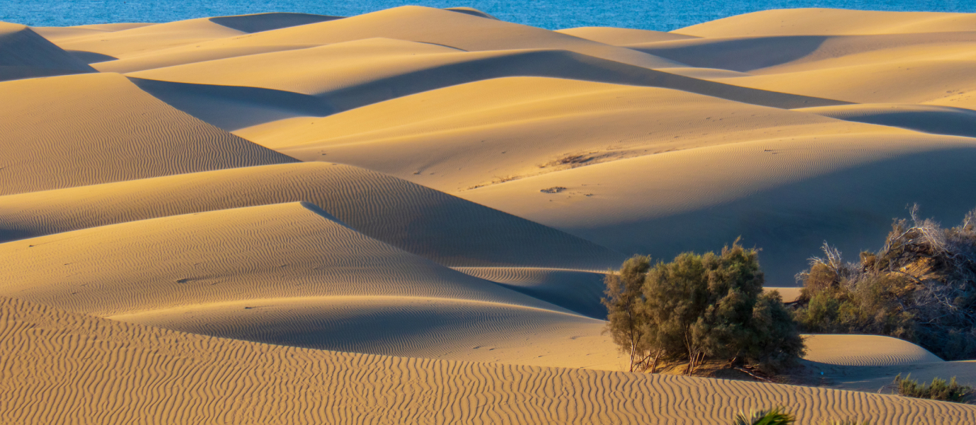 dunas
